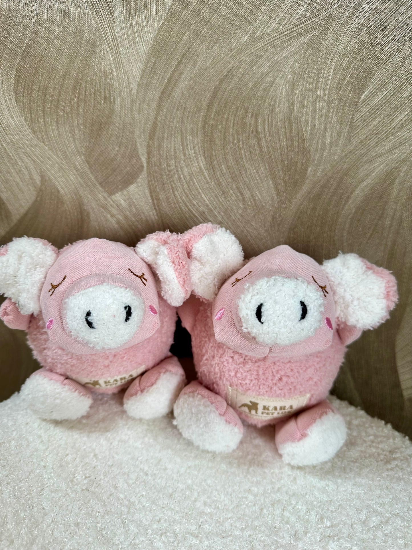 Hondenspeeltje Varkentje