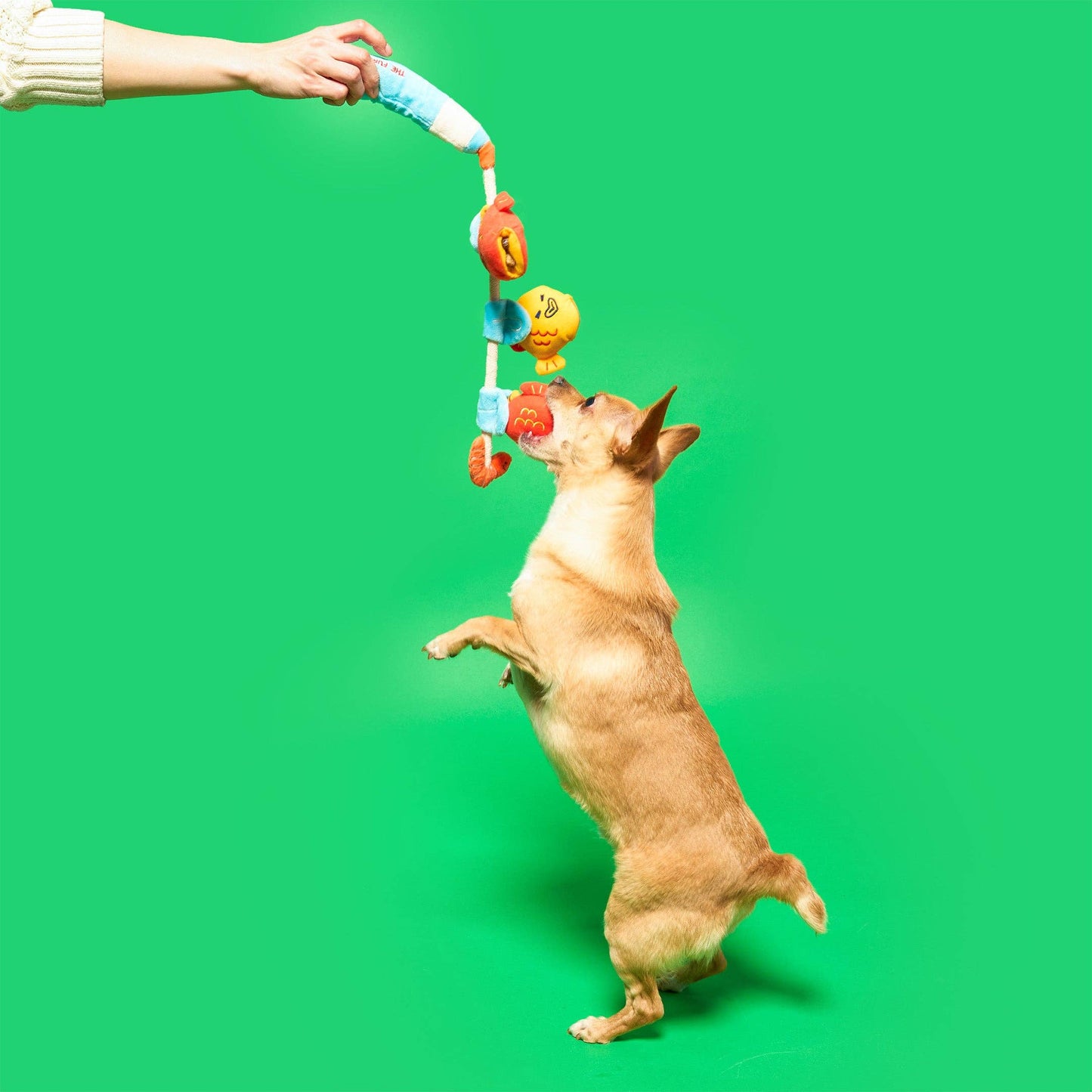 The Furryfolks | Snuffel en Trekspeelgoed - Vishengel