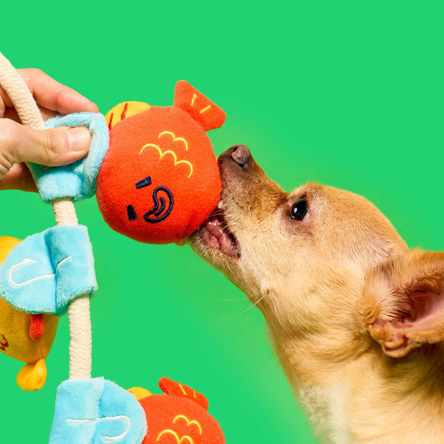 The Furryfolks | Snuffel en Trekspeelgoed - Vishengel