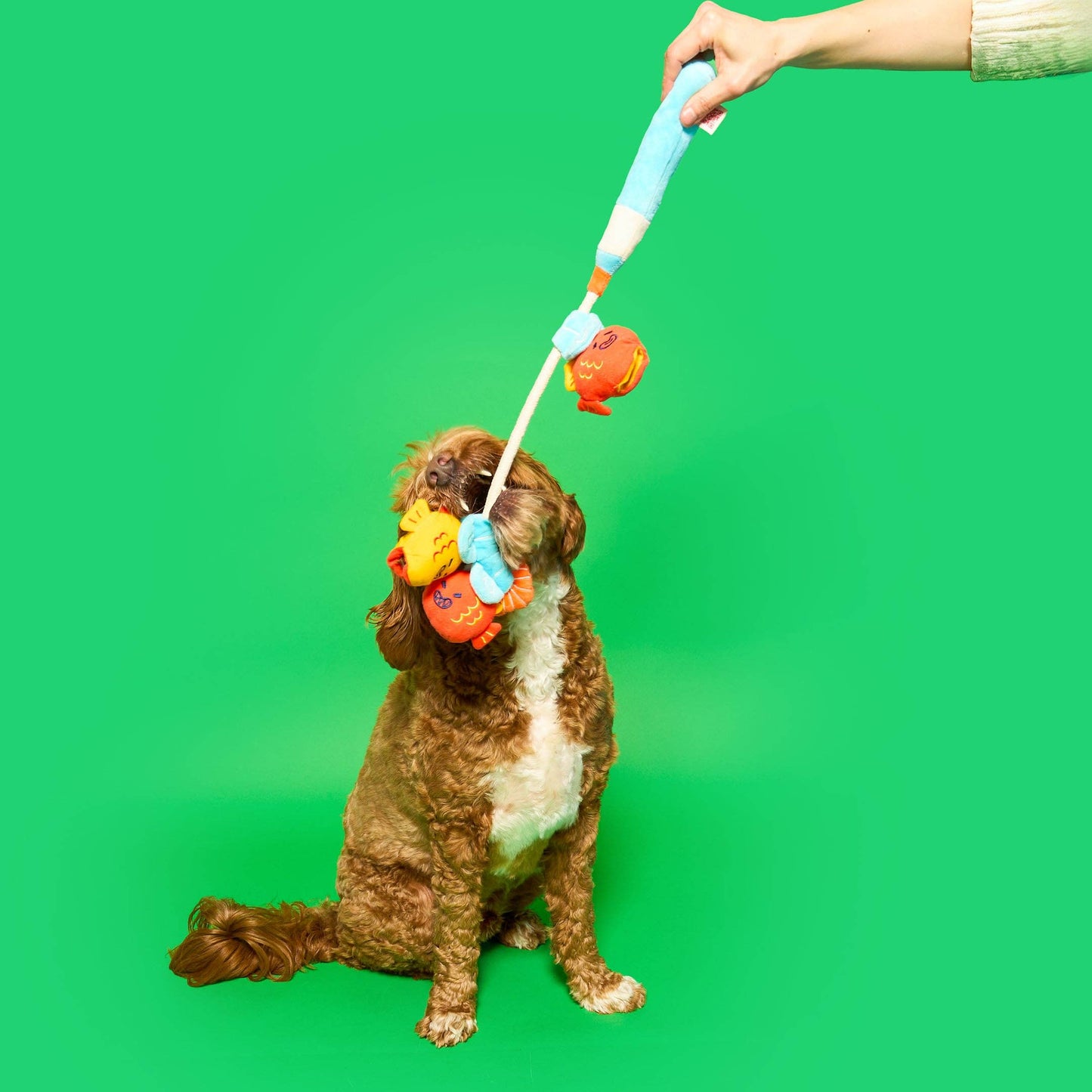 The Furryfolks | Snuffel en Trekspeelgoed - Vishengel