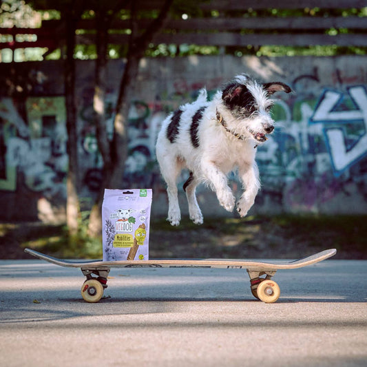 VEGDOG - Mobilities Mini