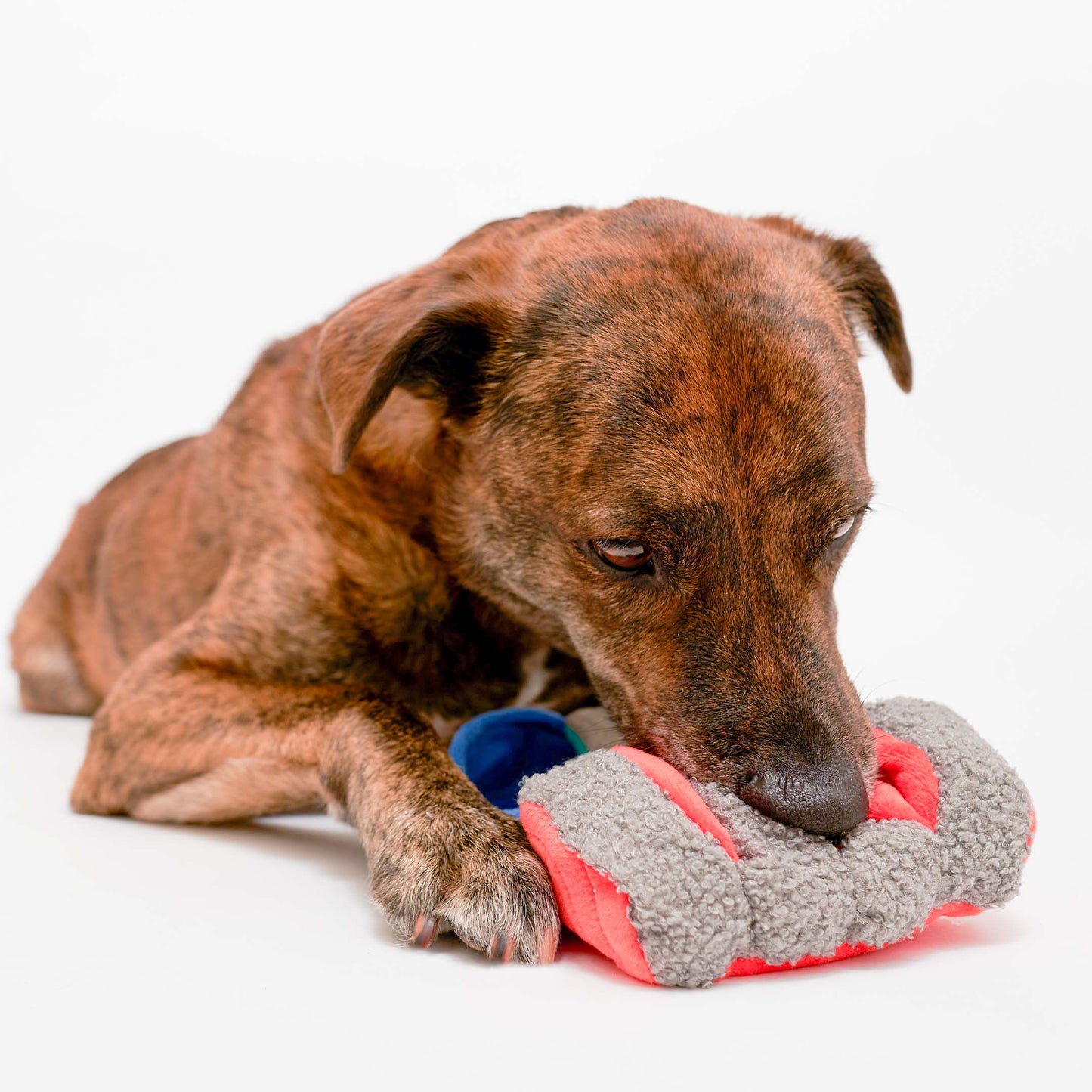 The Furryfolks | Snuffelspeelgoed - Zalm uit blik