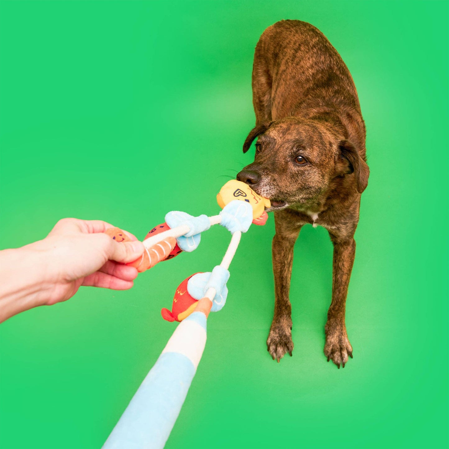 The Furryfolks | Snuffel en Trekspeelgoed - Vishengel