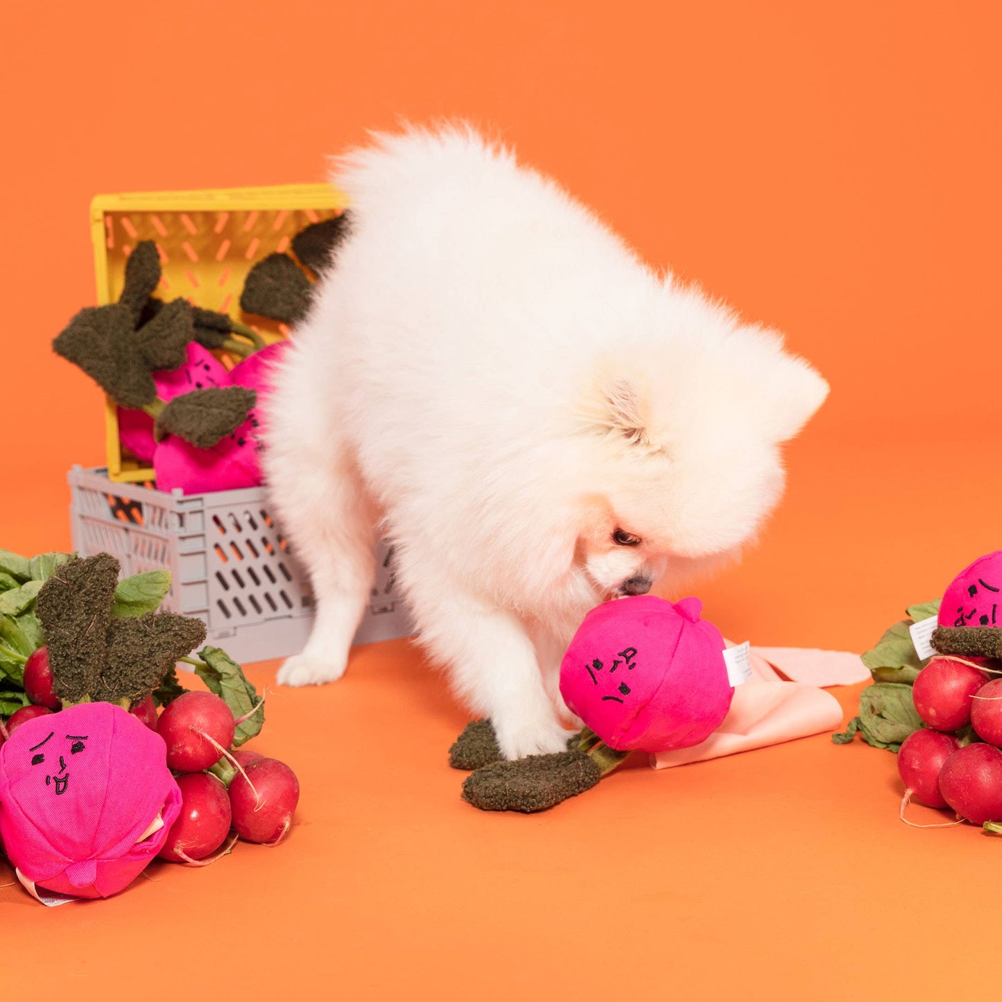 The Furryfolks | Snuffelspeelgoed - Radijs