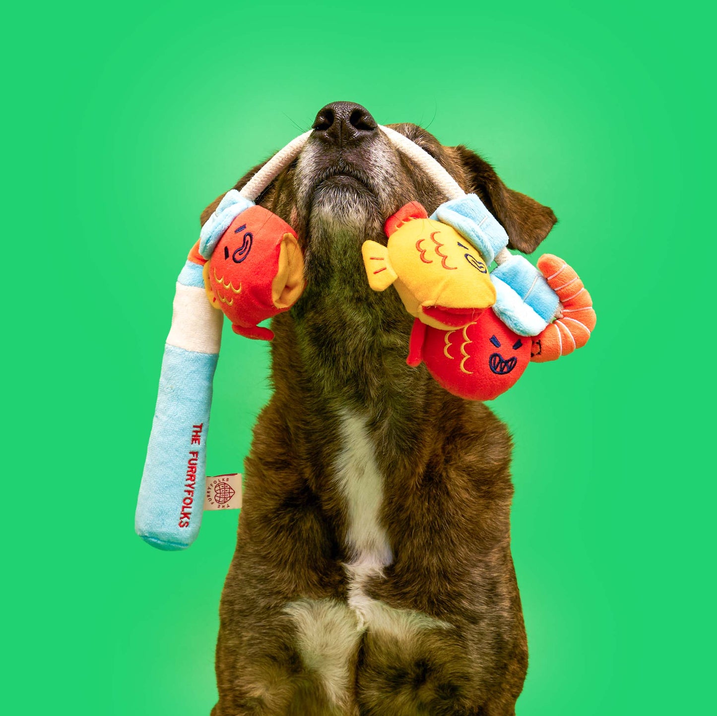 The Furryfolks | Snuffel en Trekspeelgoed - Vishengel