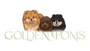 Golden Poms