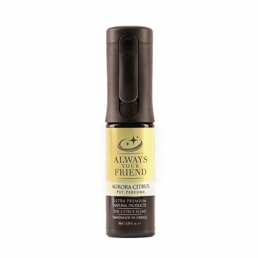 Always Your Friend – Aurora Citrus Parfum