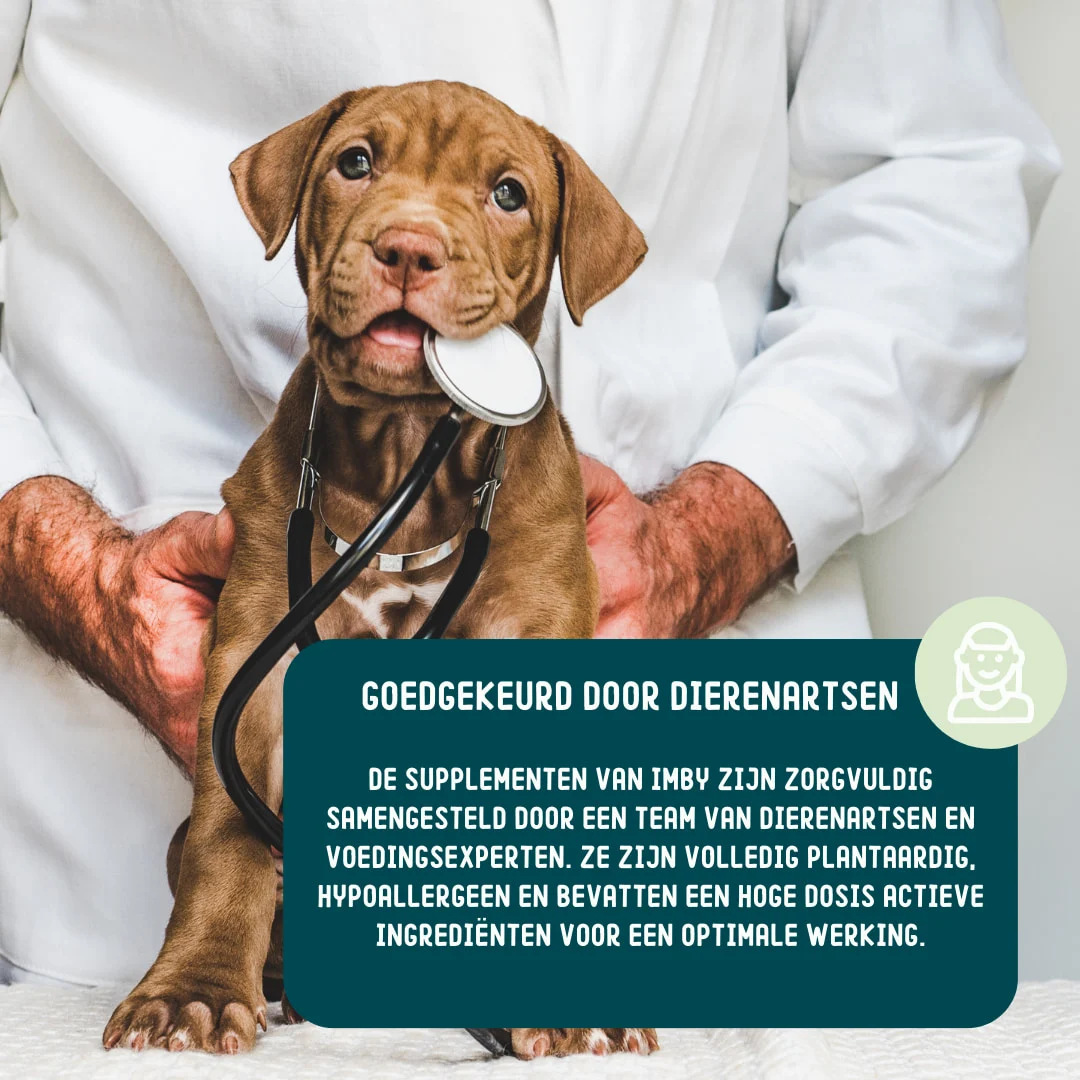 Imby Supplement Anti-Stress