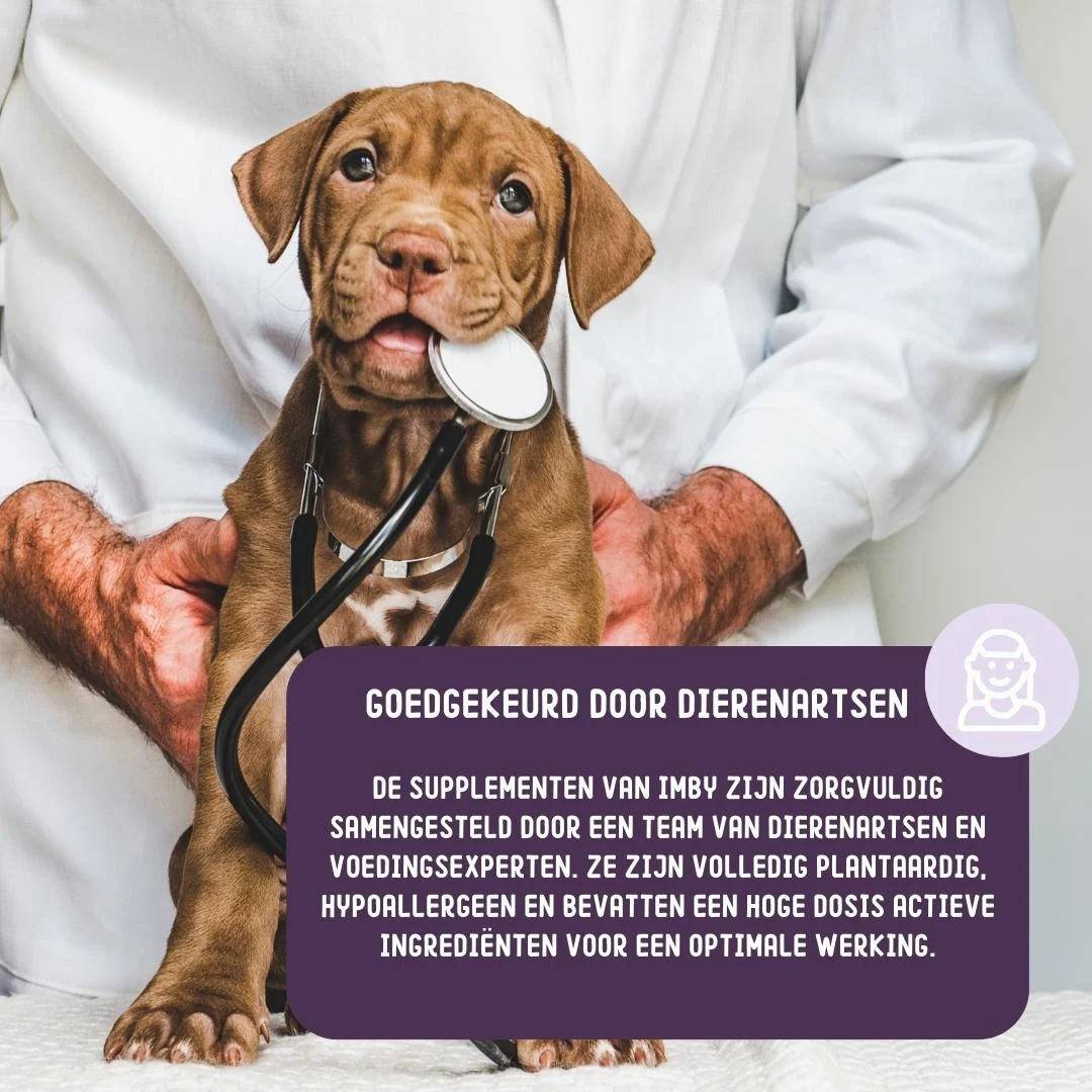 Imby Supplement Joints