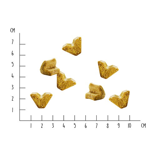 VEGDOG - Veggies Immune