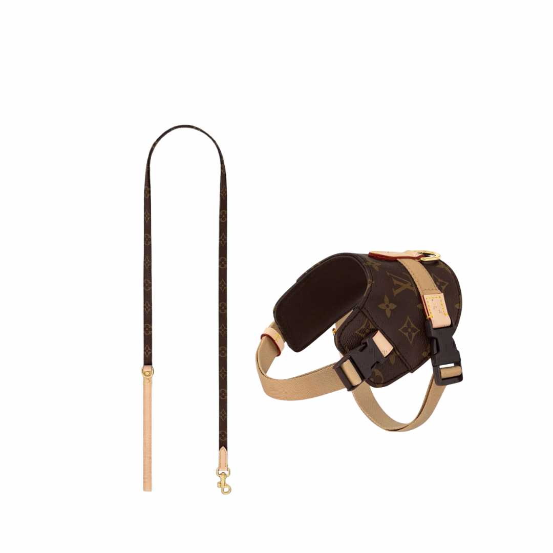 Tuigje met bijpassende lijn