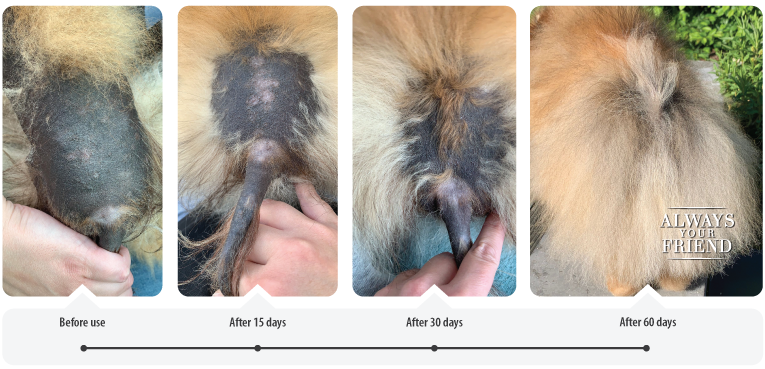 Immer dein Freund - Derma Revitalize Starterset