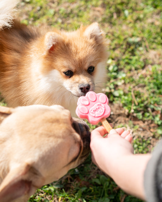 Smoofl | Watermeloen Mix voor Hondenijsjes