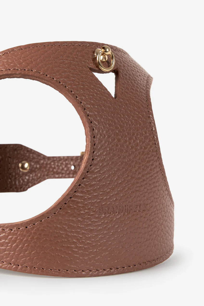 Branni Pets Boarding Harness Juno Taupe