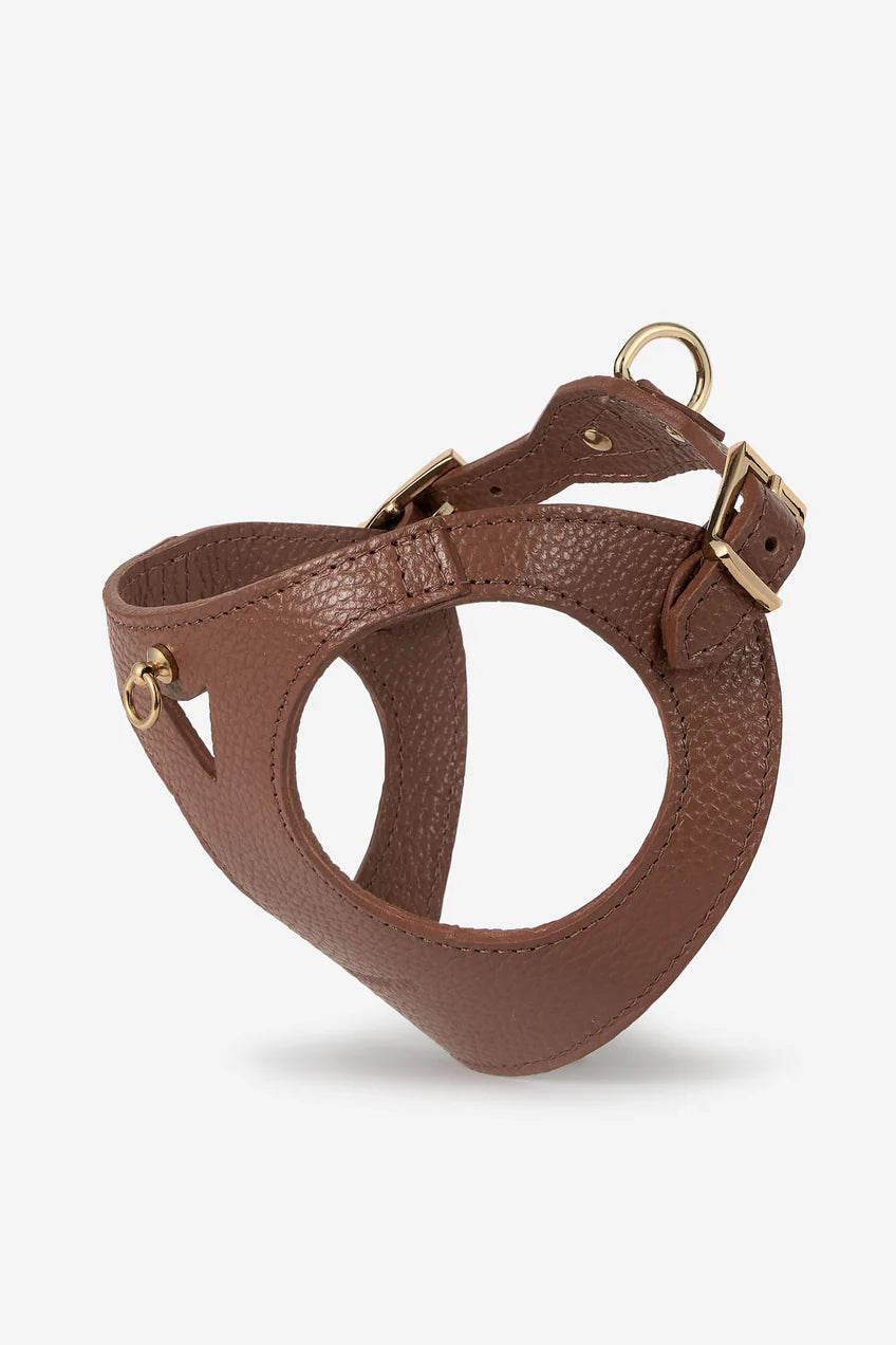 Branni Pets Boarding Harness Juno Taupe