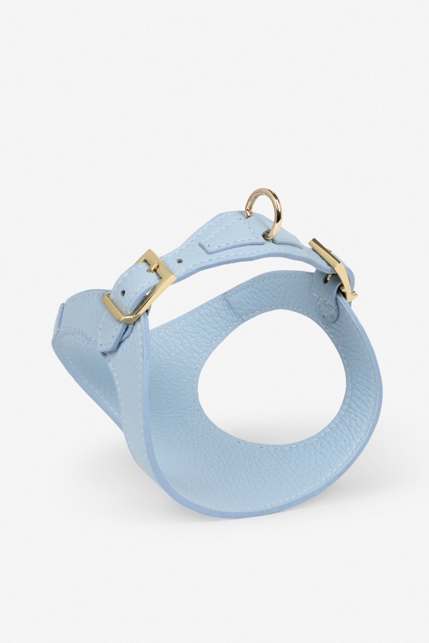 Branni Pets Instaptuig Juno Blauw - Golden Poms