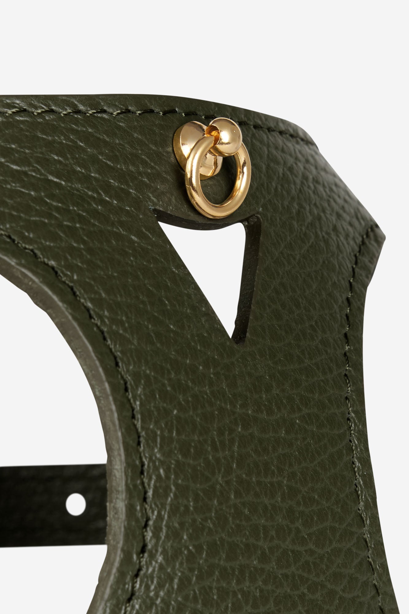 Branni Pets Instaptuig Juno Groen - Golden Poms