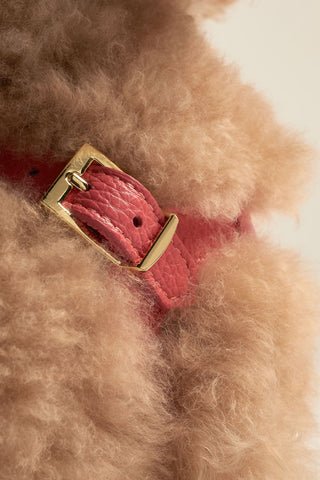 Branni Pets Instaptuig Juno Koraal - Golden Poms