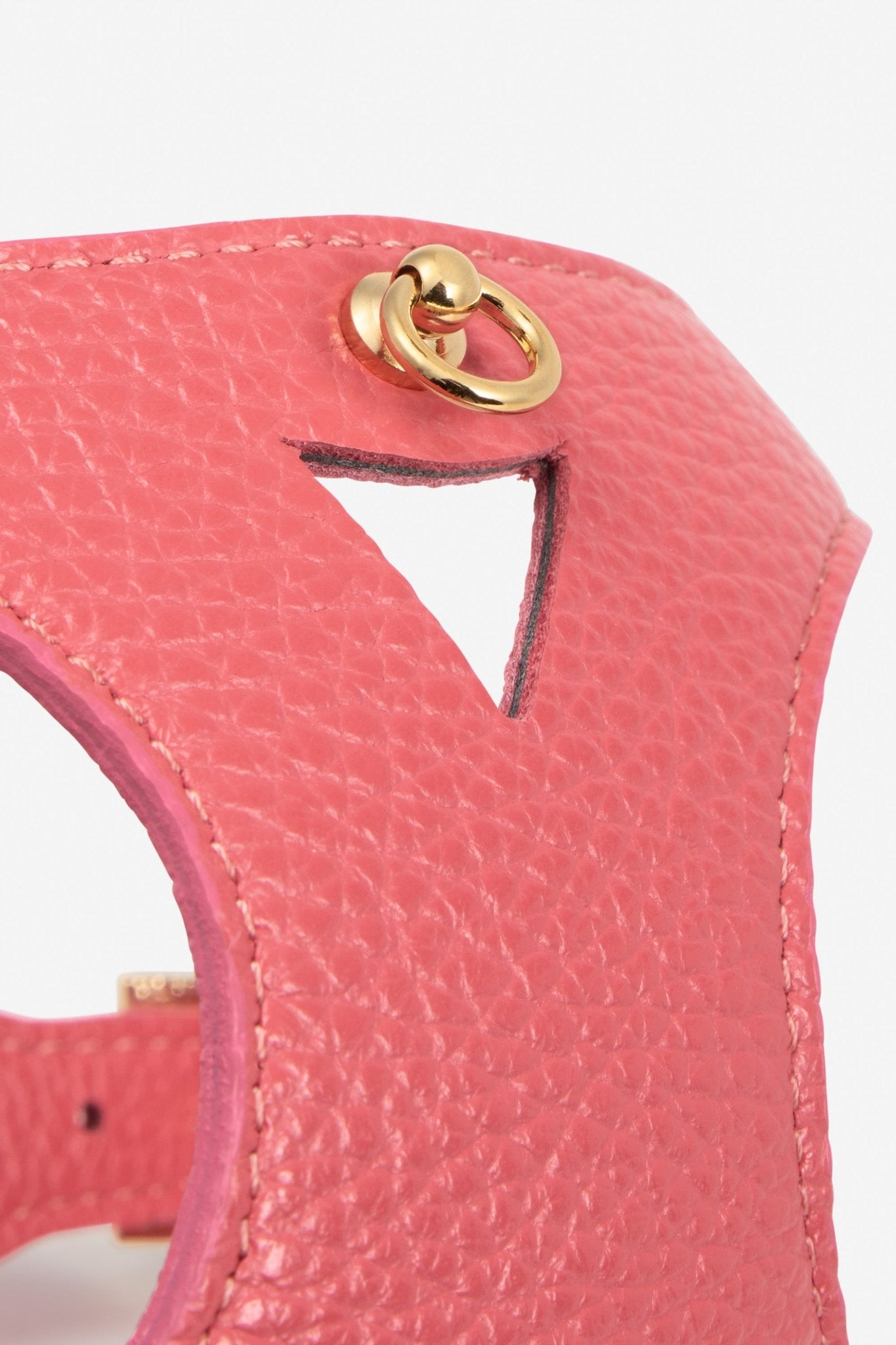 Branni Pets Instaptuig Juno Koraal - Golden Poms