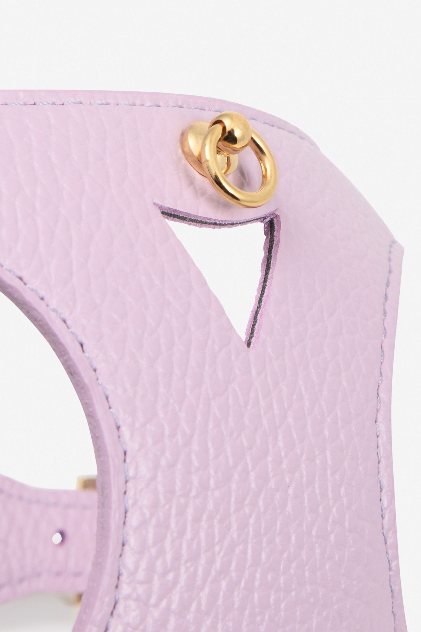 Branni Pets Instaptuig Juno Lila - Golden Poms