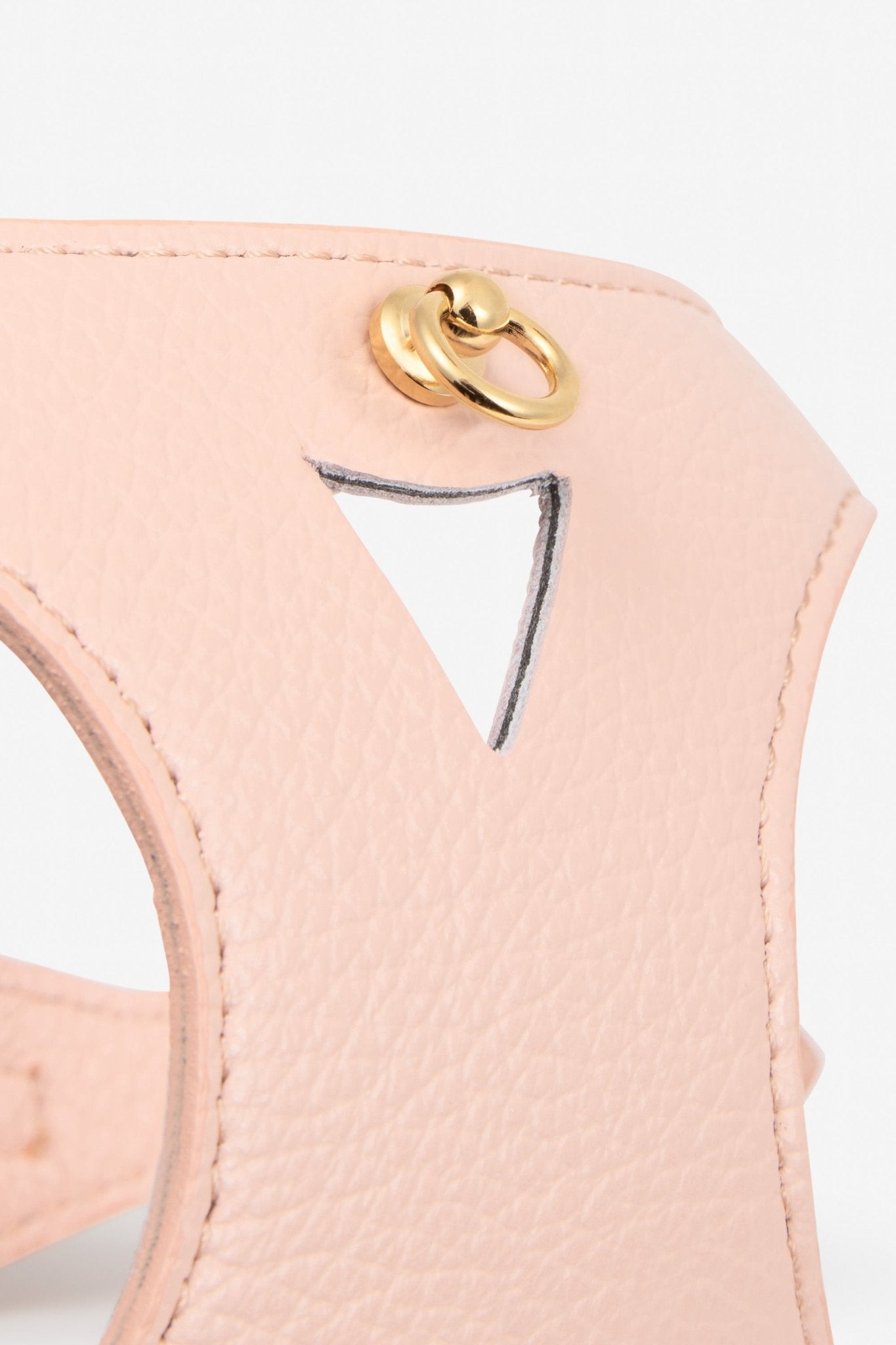 Branni Pets Instaptuig Juno Roze - Golden Poms