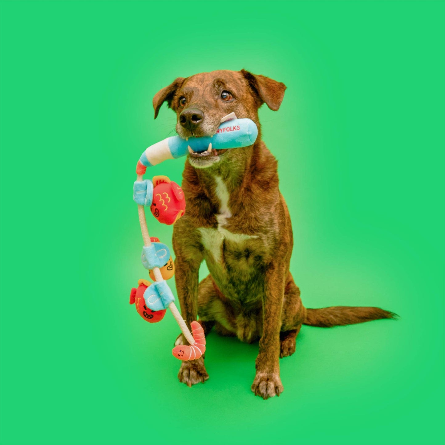 The Furryfolks | Snuffel en Trekspeelgoed - Vishengel