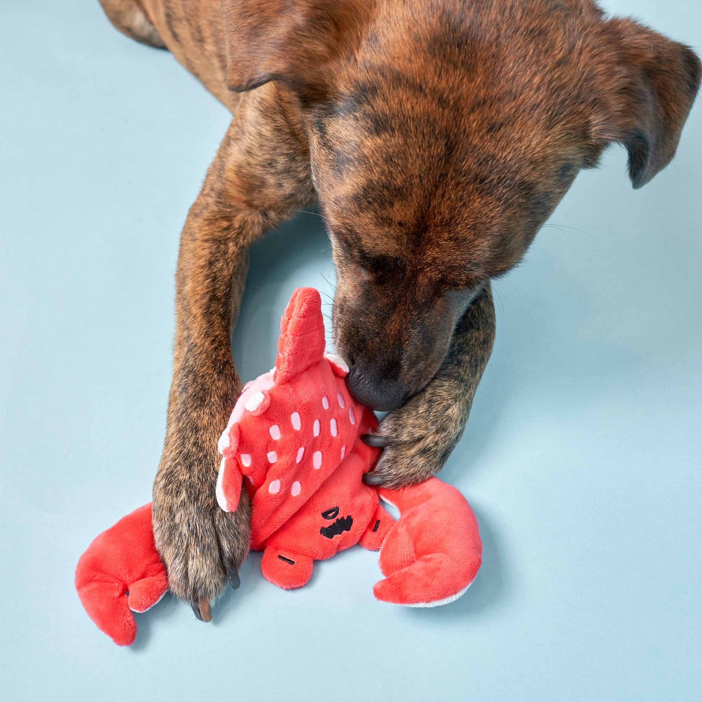 The Furryfolks | Snuffelspeelgoed - Krab