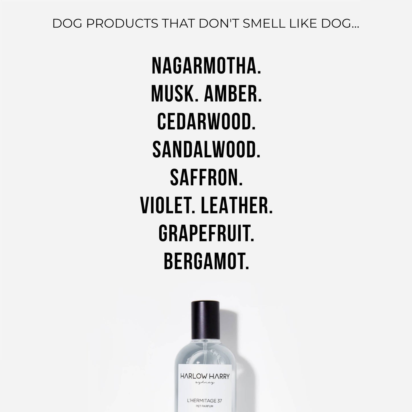 Dog perfume | L'hermitage 37