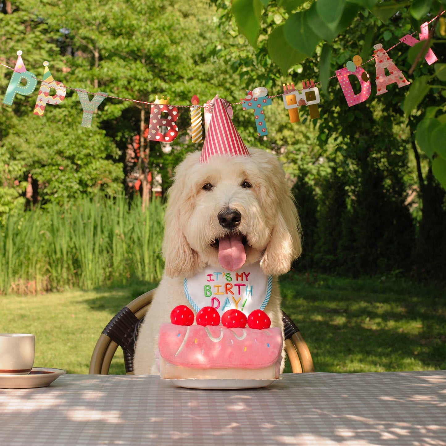 CHEWFFON – Aardbeienrolcake Snuffel- & Puzzel Speelgoed