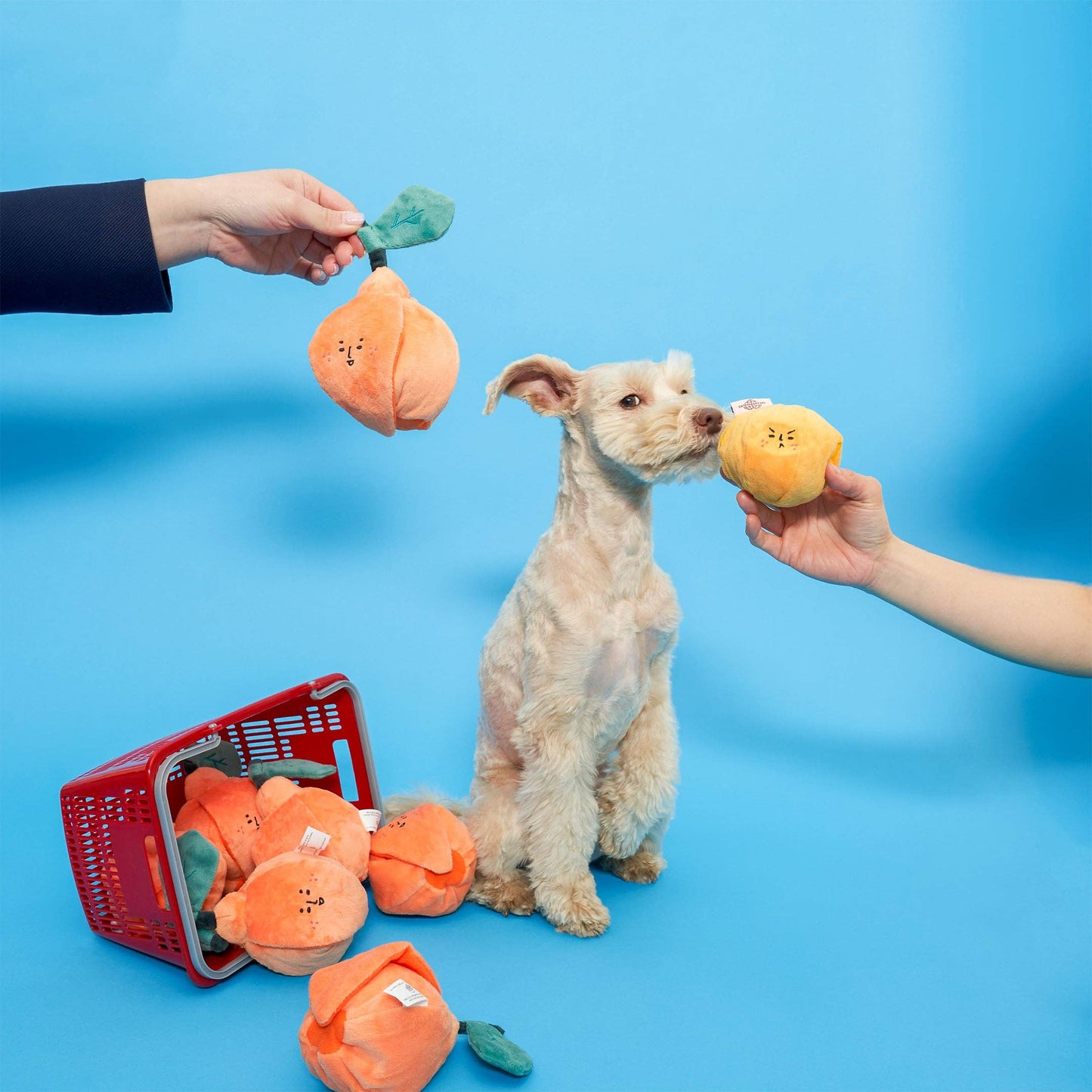 The Furryfolks | Snuffelspeelgoed - Sinaasappel