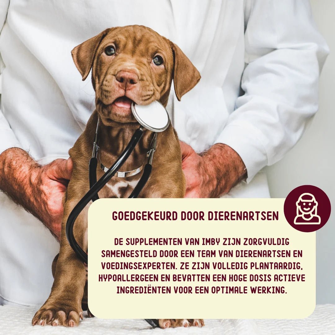 Imby Supplement Allergie & Anti - jeuk - Golden Poms