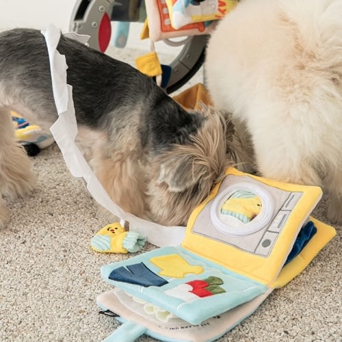 Bite Me | It´s Laundry Day Book Nosework (snuffelboek)