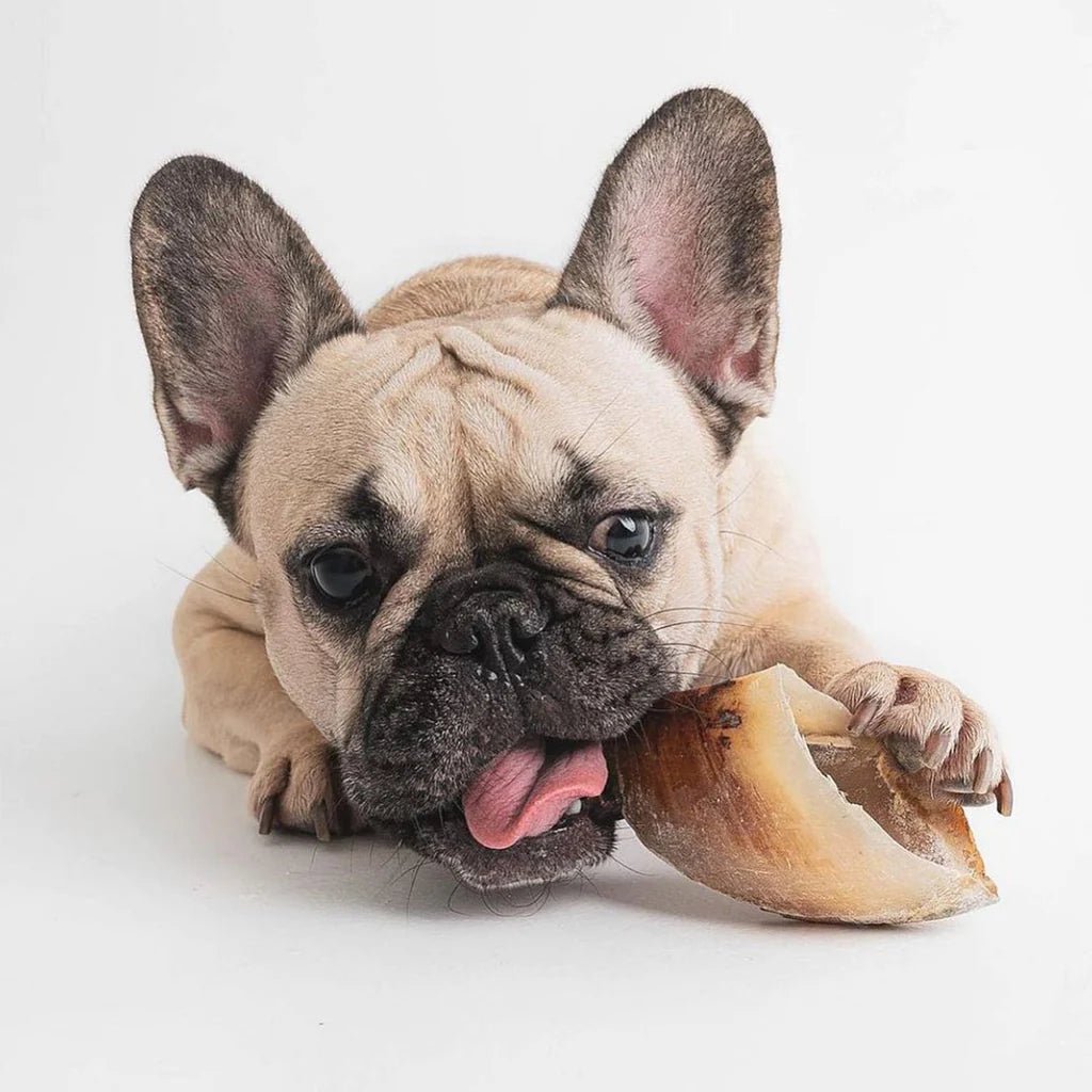 Kauwsnack Kalfshoef - Golden Poms