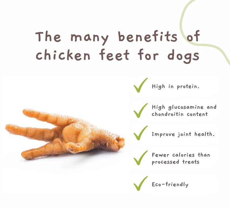 Kauwsnack Kippenpootje - Golden Poms