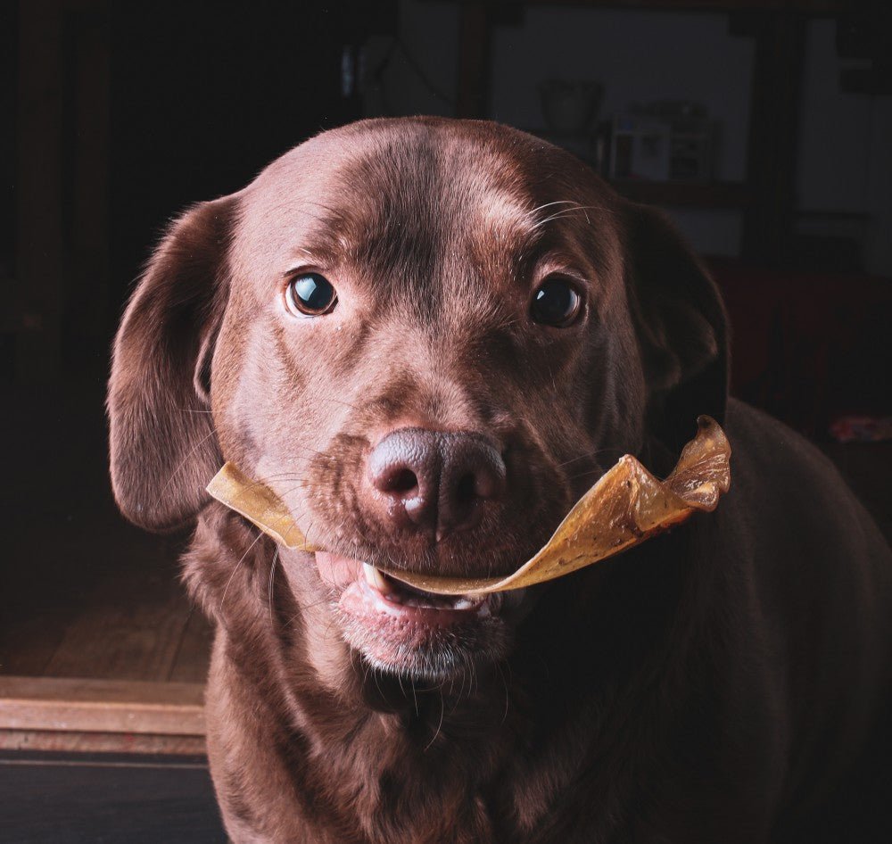 Kauwsnack Runderoor - Golden Poms