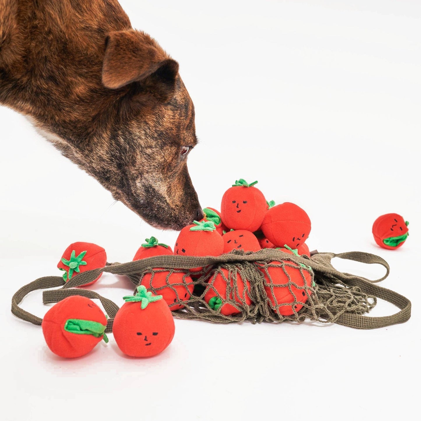 The Furryfolks | Snuffel en Trekspeelgoed - Cherry Tomaatjes - Golden Poms