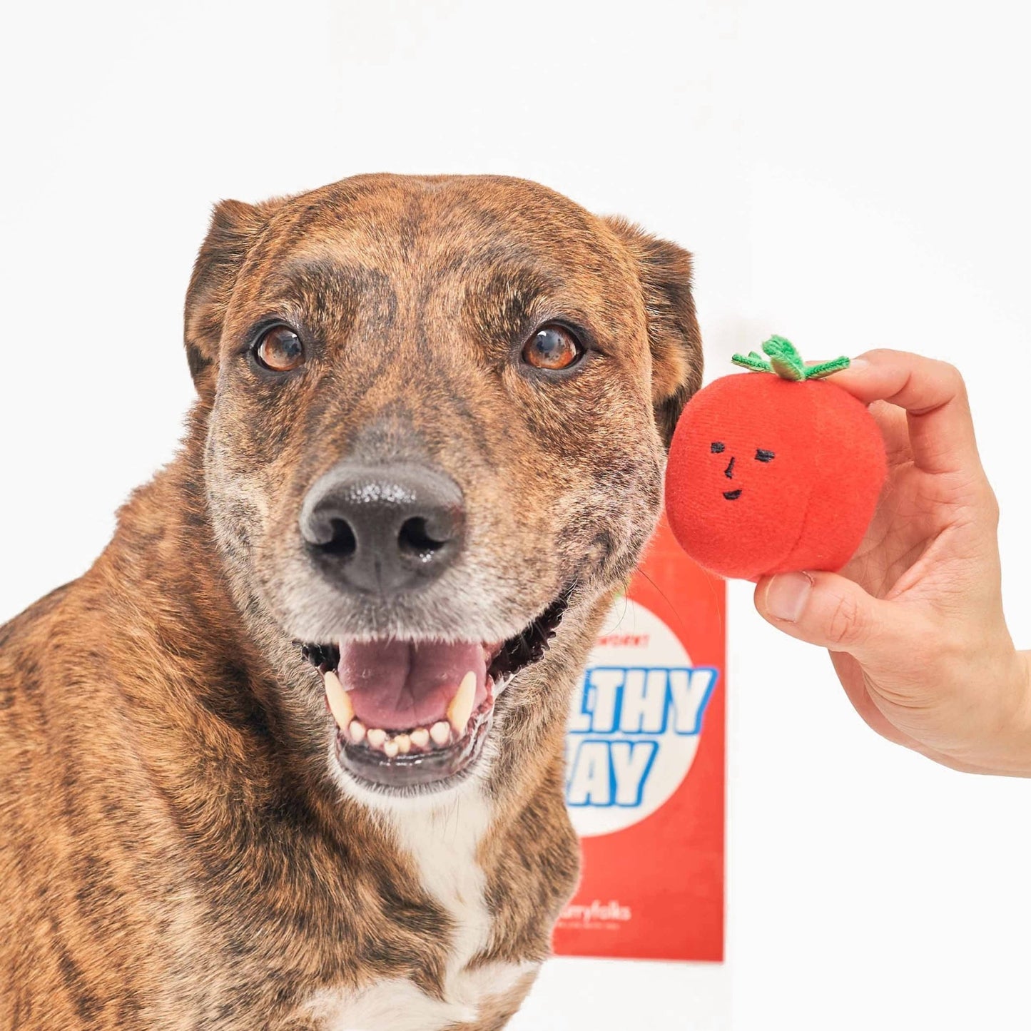 The Furryfolks | Snuffel en Trekspeelgoed - Cherry Tomaatjes - Golden Poms