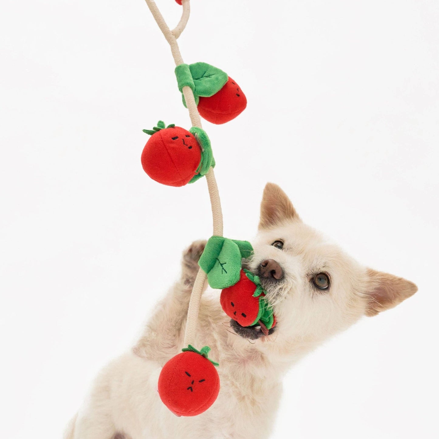 The Furryfolks | Snuffel en Trekspeelgoed - Cherry Tomaatjes - Golden Poms