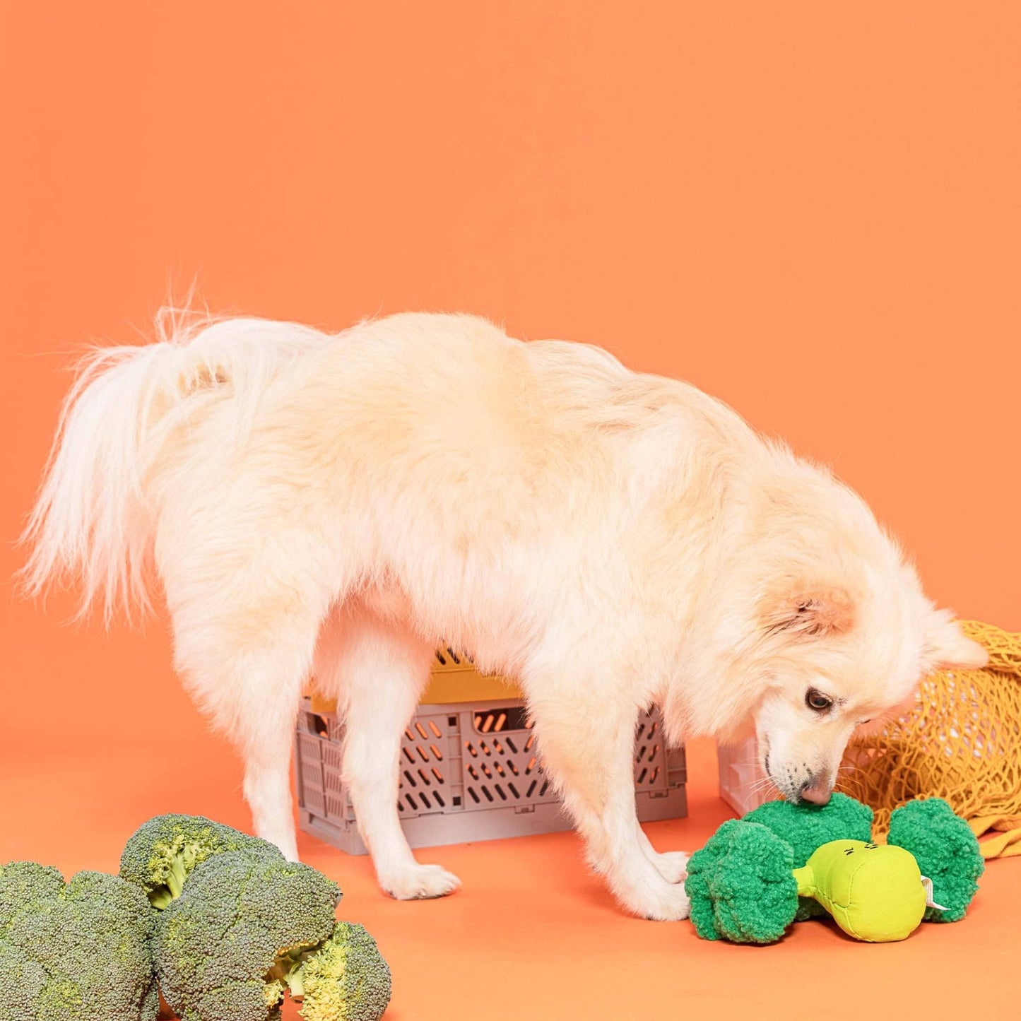 The Furryfolks | Snuffelspeelgoed – Broccoli - Golden Poms