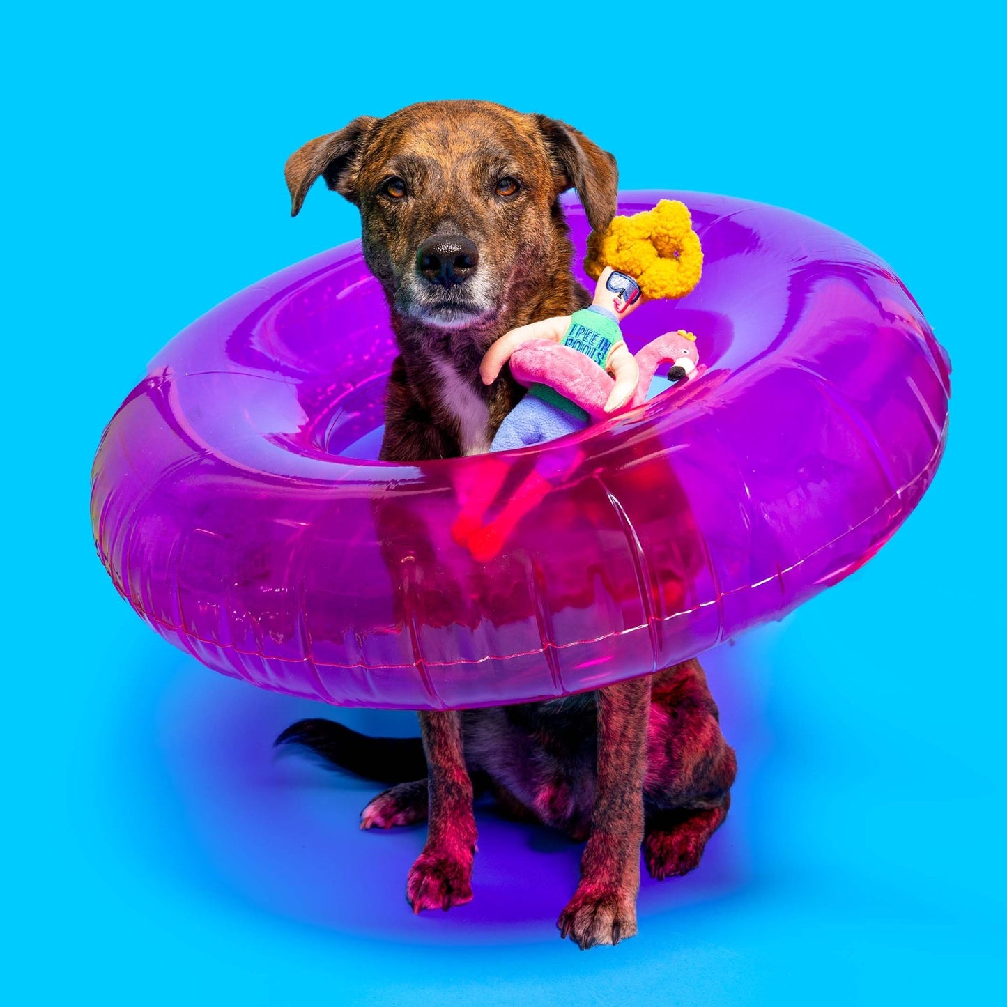 The Furryfolks | Snuffelspeelgoed - Flamingo Hooman - Golden Poms