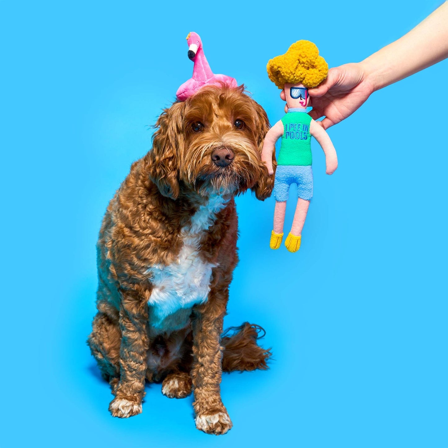 The Furryfolks | Snuffelspeelgoed - Flamingo Hooman - Golden Poms
