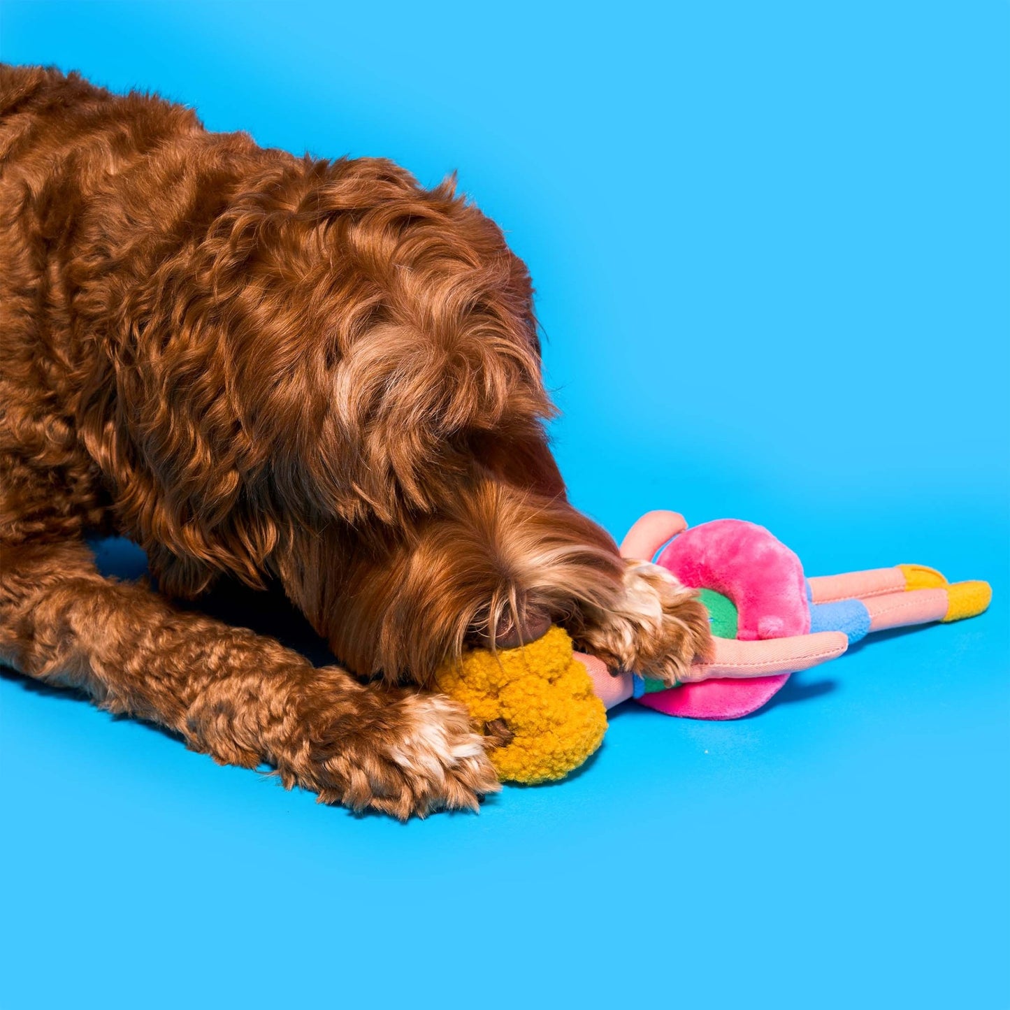 The Furryfolks | Snuffelspeelgoed - Flamingo Hooman - Golden Poms