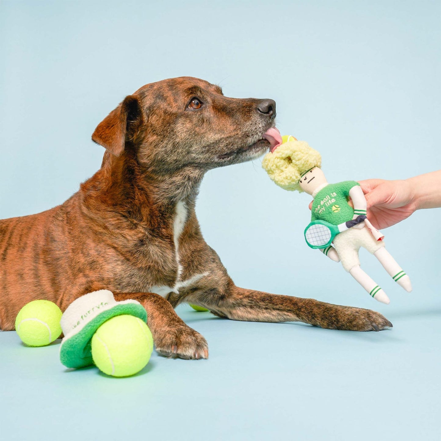 The Furryfolks | Snuffelspeelgoed - Tennis Hooman - Golden Poms