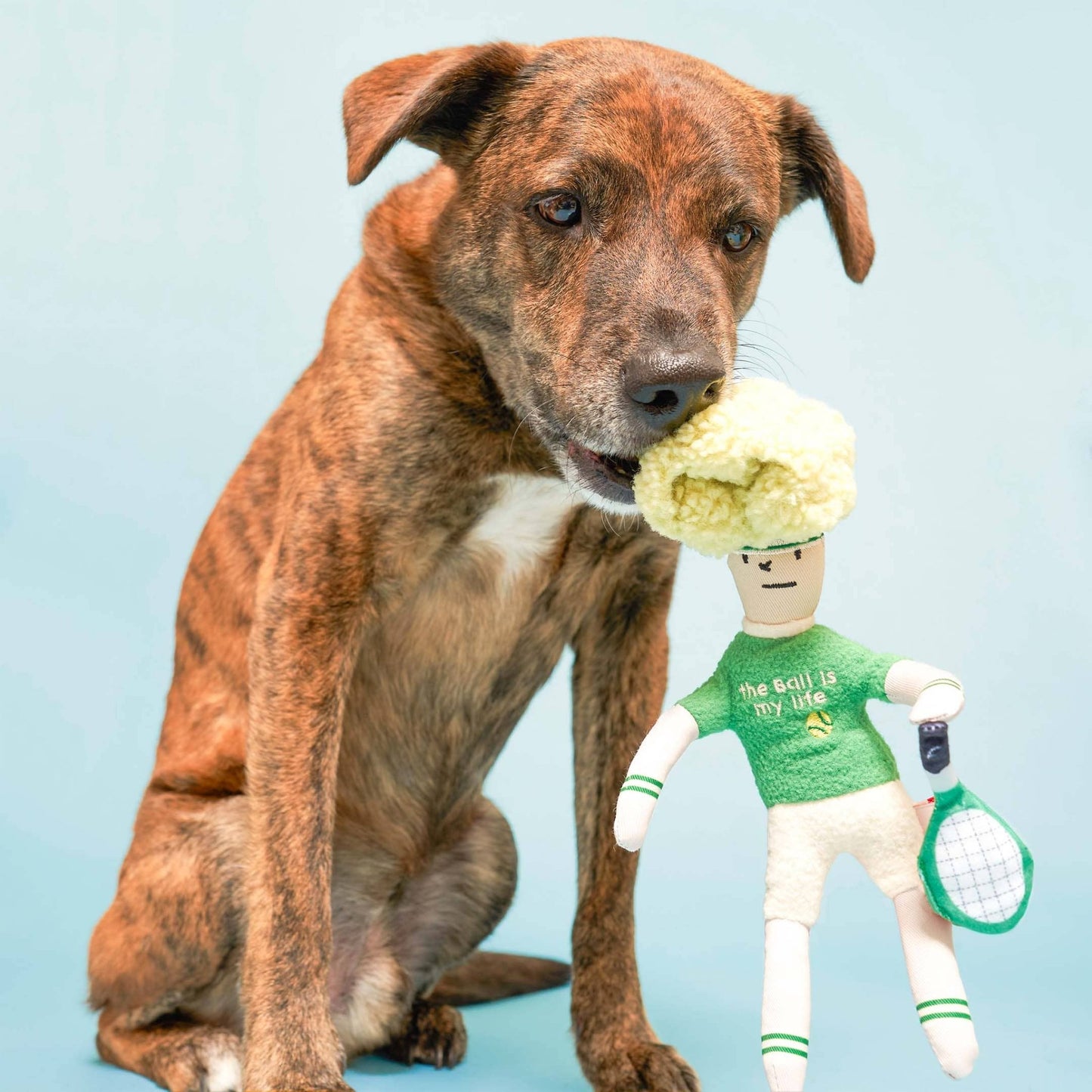 The Furryfolks | Snuffelspeelgoed - Tennis Hooman - Golden Poms