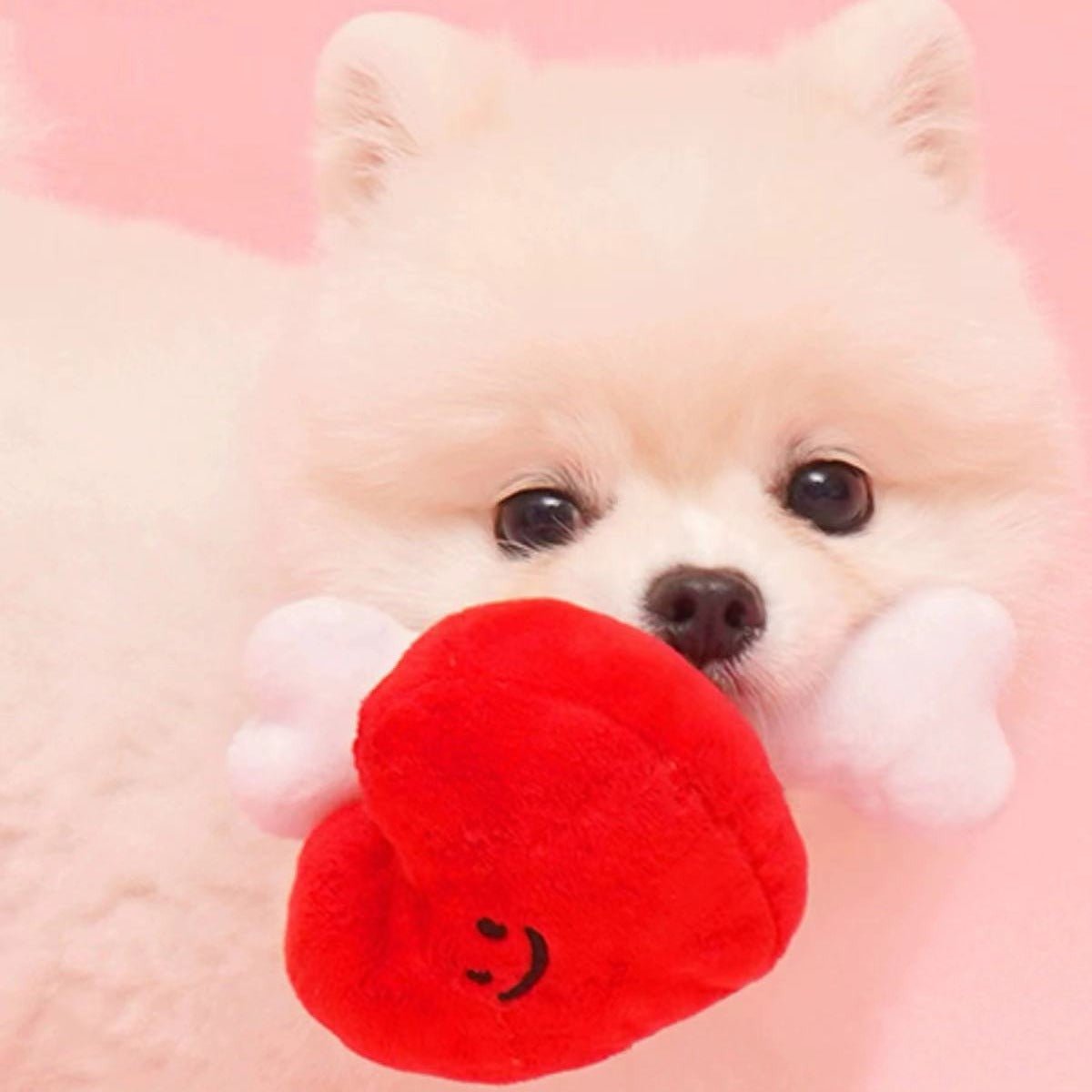 Valentine’s Day Collection | Heart With Bone - Golden Poms