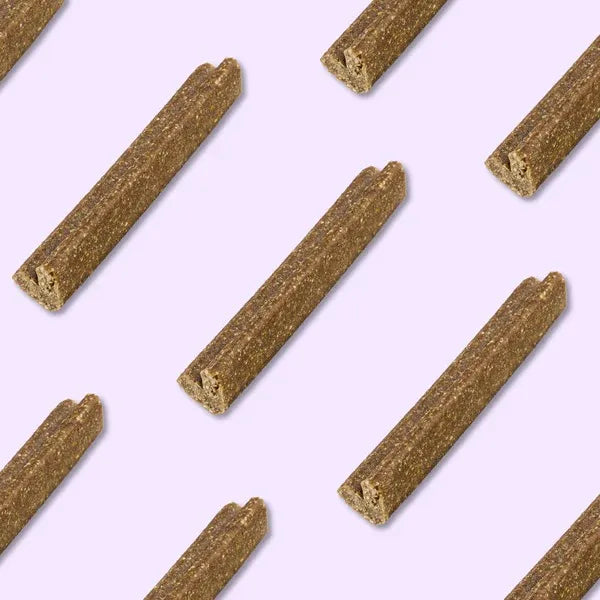 VEGDOG – Mobilitäten