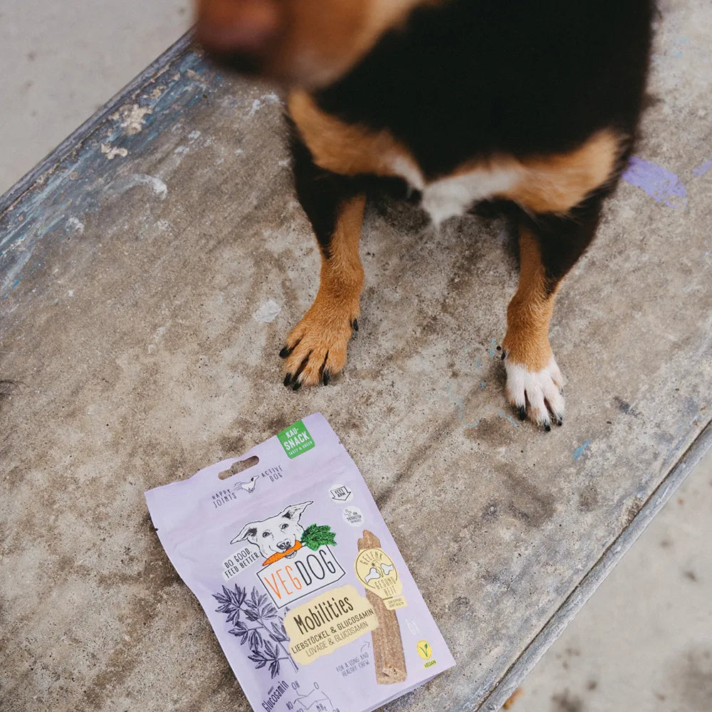 VEGDOG – Mobilitäten