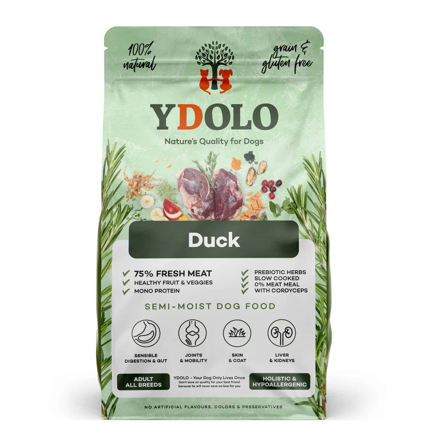 YDOLO | Duck