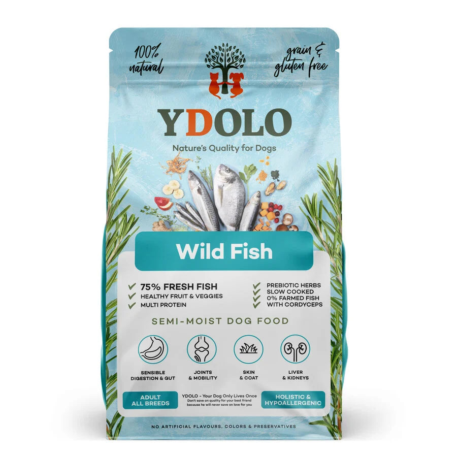 YDOLO | Wild Fish