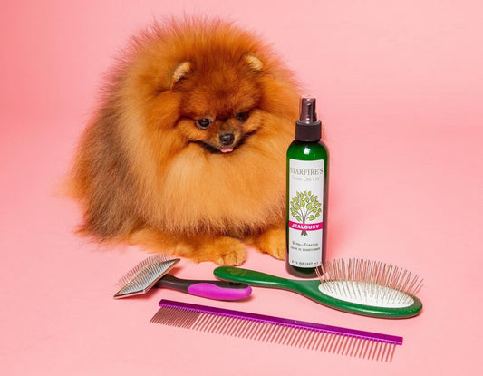 Hoe borstel je een Pomeranian het beste?